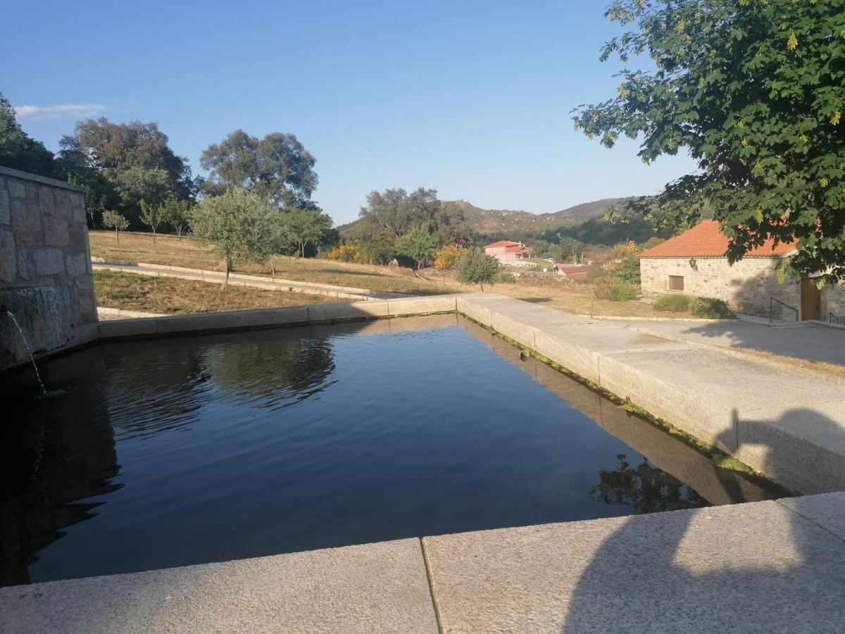 Lirios Da Granja - Casa De Campo Bagian luar foto