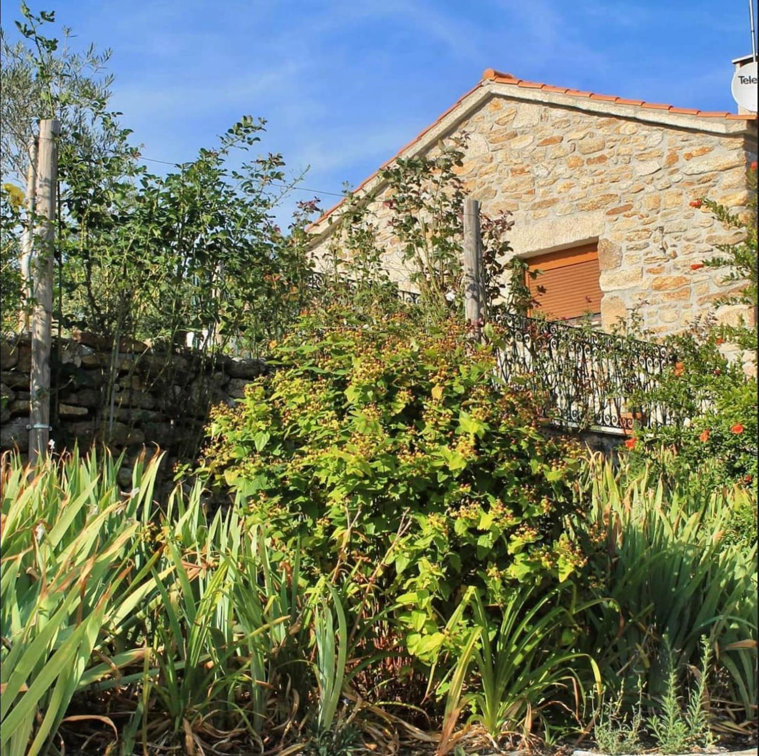 Lirios Da Granja - Casa De Campo Bagian luar foto